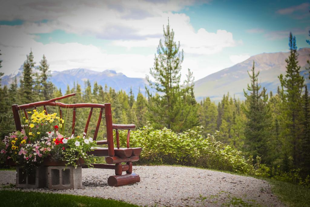 Paradise And Lodge *